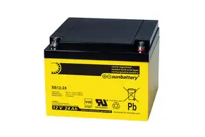 Batteries 12VCC/24AH pour ECS IQ8Control, ECS 8000 M ou FLexES Control (FX 10 et FX 18) 